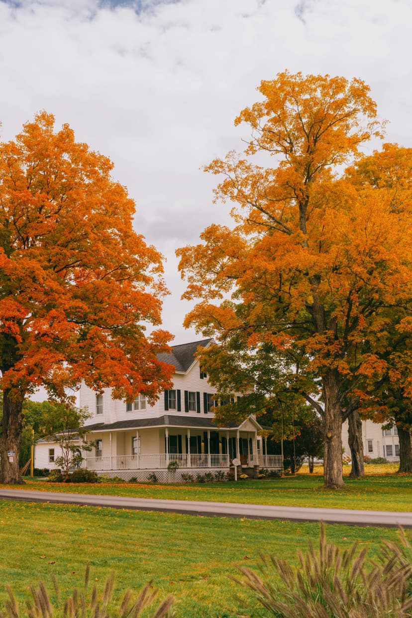 Wylder Hotel Windham